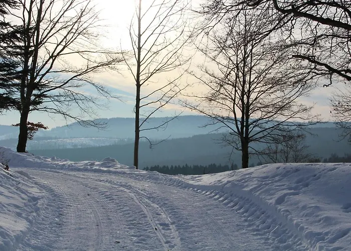 Am Ruhberg Holiday home Winterberg